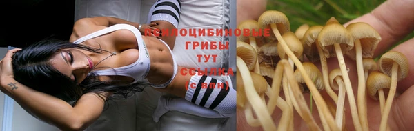 марки nbome Алексеевка
