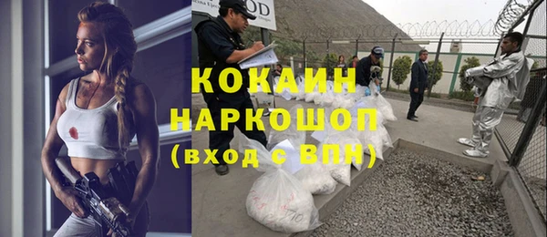 крисы Новодвинск