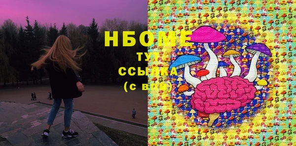 мдпв Новозыбков
