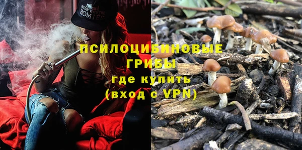 крисы Новодвинск