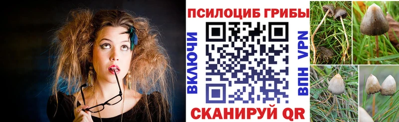 Псилоцибиновые грибы Psilocybine cubensis  Сорочинск 